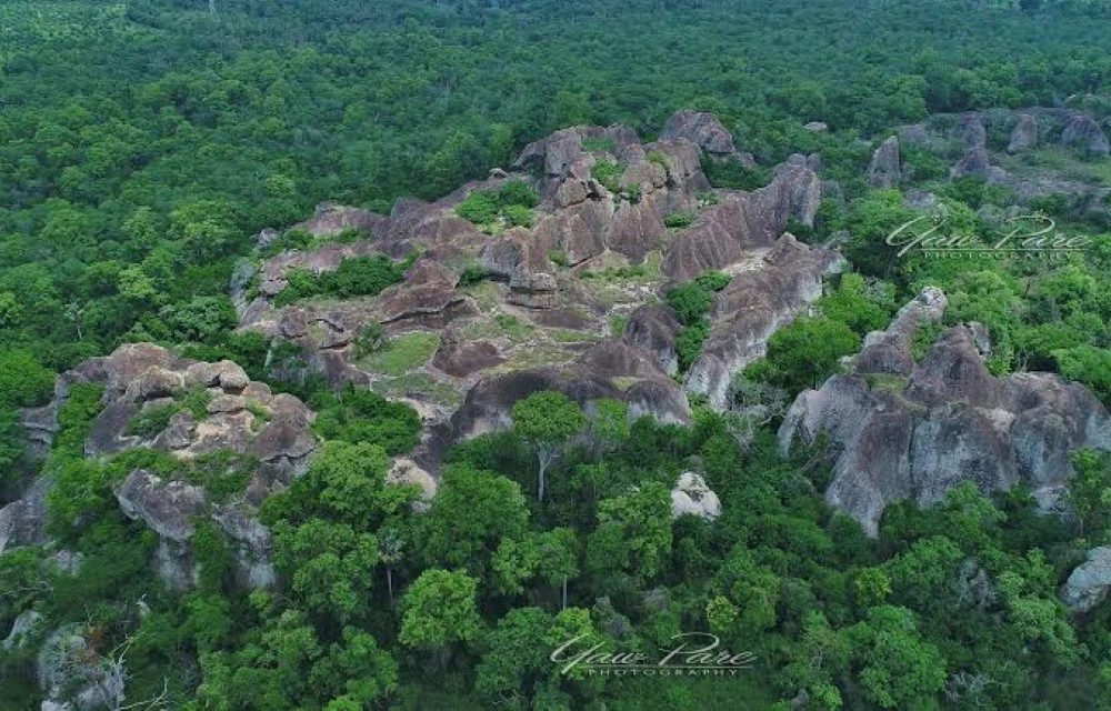 Tanoboase Sacred Grove Techiman